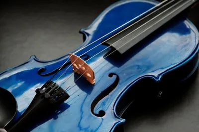 картинки : Струнный инструмент, Семейство скрипок, Скрипка, струнный  инструмент, виолончель, Крупным планом, музыкальный инструмент,  классическая музыка, Макросъемка 3500x2625 - - 8806 - красивые картинки -  PxHere