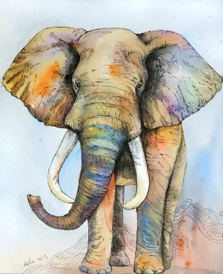 Слон имеет красивый и большой изоляции на белом фоне. Красочная цветная  глава слона украсила слонов и связывает дерева Стоковое Изображение -  изображение насчитывающей слон, глаз: 174727011