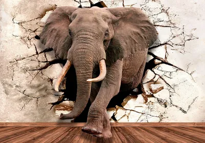 Картинки слона - 72 фото