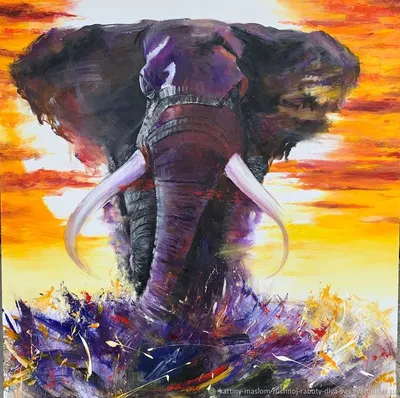 картинки : Дикая природа, зоопарк, Млекопитающее, Фауна, Животные,  Индийский слон, Африканский слон, Слоны и мамонты 4000x3000 - - 703512 -  красивые картинки - PxHere