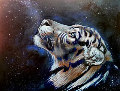 Красиво пошел». Жители Приморья сняли на видео гордого тигра - KP.RU