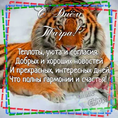 Тигры (немного качественных фоток) » uCrazy.ru - Источник Хорошего  Настроения