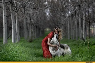 осенние фотосессии, красивая девушка гуляет по осеннему лесу, красивые  фотографии снаружи фон картинки и Фото для бесплатной загрузки