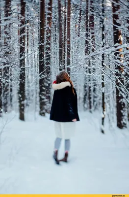 Зимнее фото в лесу с елью | Зимняя фотография, Зимние наряды, Лес