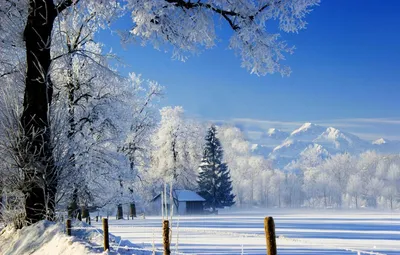 Отели для отдыха зимой в России — на Алтае, Байкале, в Карелии и других  местах, где сейчас красиво