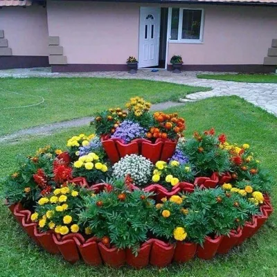 Цветы на газоне (69 фото) »