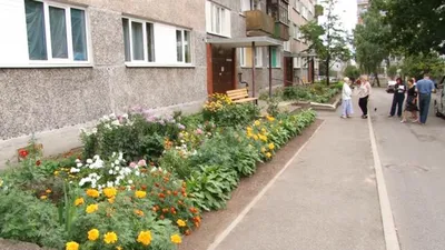 Дизайн клумбы с камнями своими руками: советы и фотографии