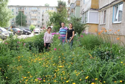 Дизайн клумбы с камнями своими руками: советы и фотографии