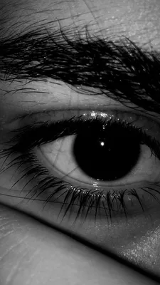 Серый фон ,глаза | Фотография глаза, Глаза, Красивые глаза