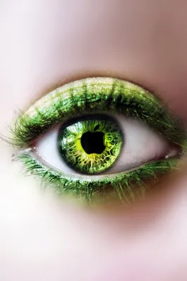 Картинка Человеческий глаз, зеленый HD фото, обои для рабочего стола
