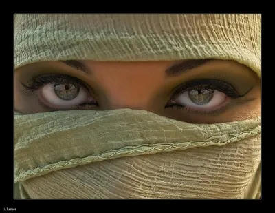 Pin by fijel on The Eyes | Beautiful eyes, Stunning eyes, Cool eyes