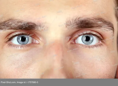Красивые Голубые Глаза — стоковые фотографии и другие картинки Бровь -  Бровь, Глаз человека, Голубые глаза - iStock
