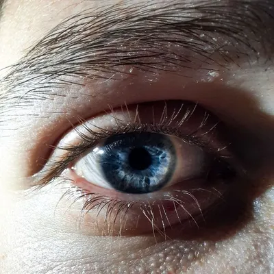 макро-глазой Iris яркая диафрагма закрывает красивые голубые глаза макро  изображение обобщения иллюстрации Иллюстрация штока - иллюстрации  насчитывающей радужка, цвет: 275943595