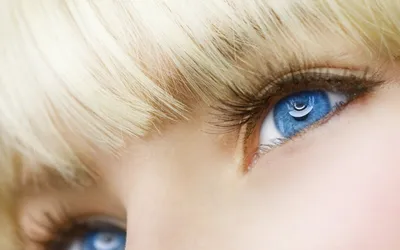 Красивые Голубые Глаза Смотреть Вверх — стоковые фотографии и другие  картинки Глаз - Глаз, Женщины, Только одна женщина - iStock