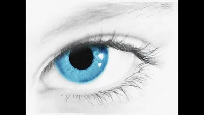Красивые мусульманские женщины большие голубые глаза Стоковое Изображение -  изображение насчитывающей мусульмане, конец: 204333253