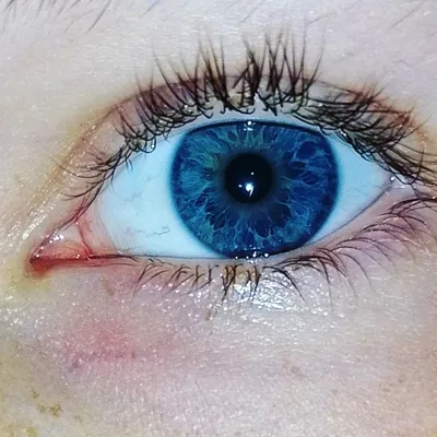 Пин от пользователя Ulianaoks на доске Мои сохраненные материалы | Цвет глаз,  Глаза, Голубые глаза