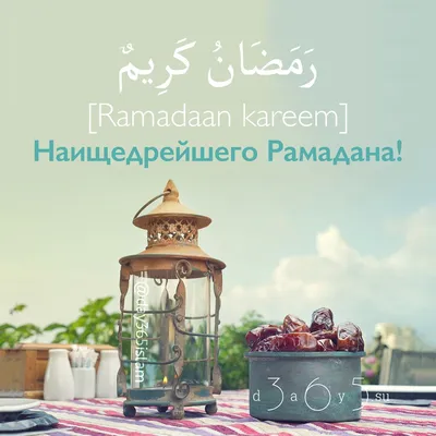 Месяц молитв и добрых дел: все, что нужно знать о Рамадане