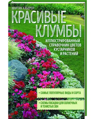 Красивые клумбы в саду – ландшафтный тренд на экзотику | Огород Мечты | Дзен