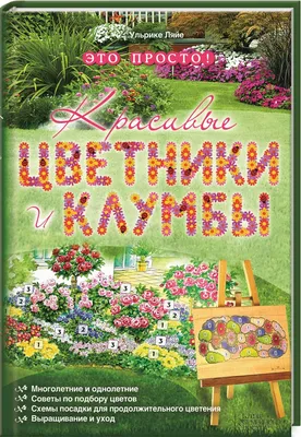 Клумба на даче: 6 идей оформления, советы дизайнера