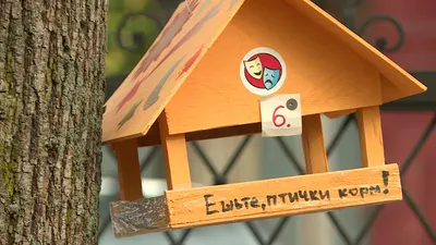 Более 40 кормушек для птиц расположились на деревьях в парке Циолковского