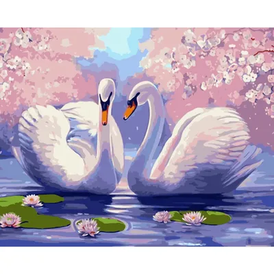 Красивые Белые Лебеди Плавают В Озере На Открытом Воздухе — стоковые  фотографии и другие картинки Без людей - iStock