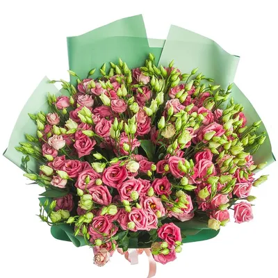 Букет цветов до 2000 рублей 14 февраля День святого Валентина | купить  недорого с доставкой на Roza4u.ru