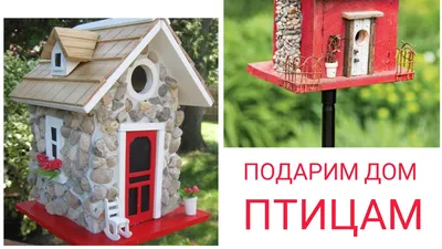 Скворечник – дом для птиц! – Астраханский биосферный заповедник