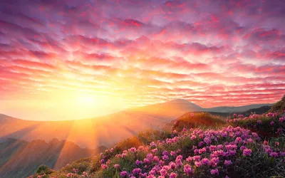 Красивые рассветы и закаты | Пикабу