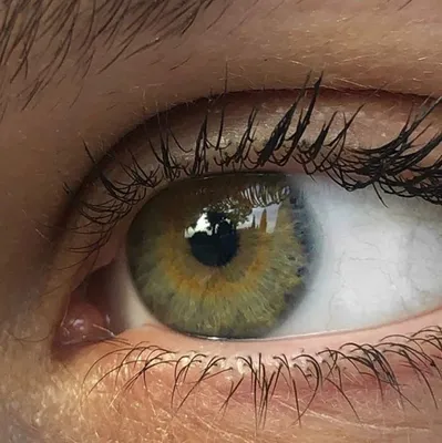 Какой цвет глаз самый редкий в мире? «Ochkov.net»