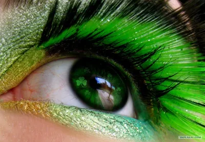 sv.lash.brow - Красивые зелёные глаза 💚 | Facebook