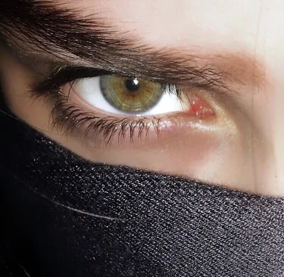 Красивые зеленые глаза женщины видеоматериал - Видео насчитывающей  оптически, состав: 99063786