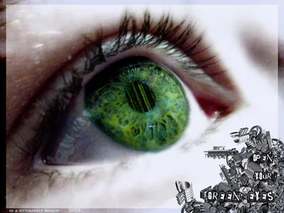 закрыть красивые зеленые глаза Стоковое Фото - изображение насчитывающей  способ, покрашено: 215533136