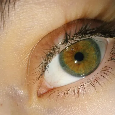 Зелёные глаза (28 фото)