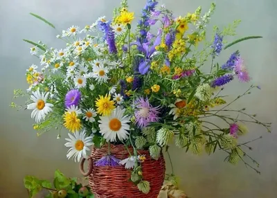 Шикарный букет полевых цветов - 78 фото