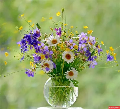 Красивый букет полевых цветов | https://maslersvetlana.site/