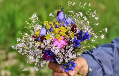 Очень красивый букет полевых цветов…» — создано в Шедевруме