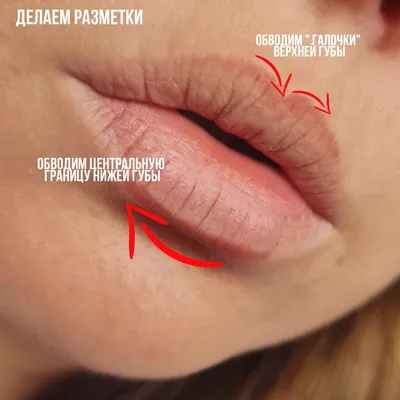 Крупным Планом Красивые Женские Губы С Ярким Макияжем Lipgloss Идеальная  Чистая Кожа Легкий Свежий Макияж Губ Красивый Спа Макро Выстрел С Не —  стоковые фотографии и другие картинки Блеск для губ - iStock