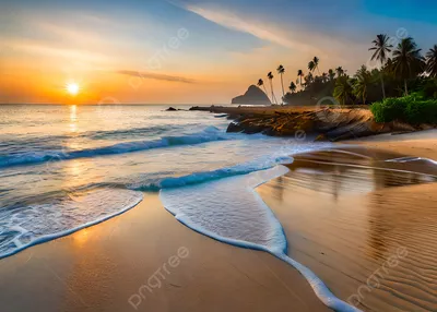 Красивый закат с пальмой стоковое фото. изображение насчитывающей вечер -  205487976