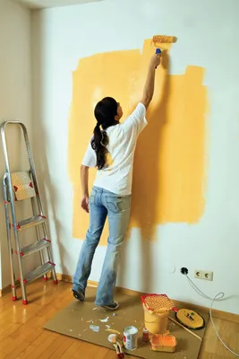 Краска для стен: выбрать просто, любоваться долго - полезная информация