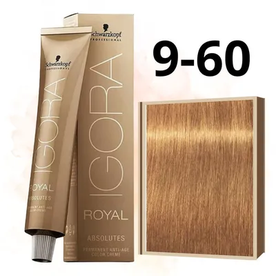 Schwarzkopf Professional Igora Royal Краска для волос Absolutes 9-60  блондин шоколадный натуральный 60 мл - купить с доставкой по выгодным ценам  в интернет-магазине OZON (192570037)