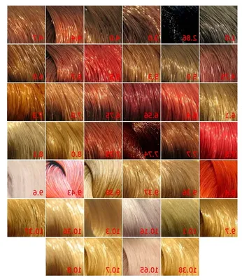 Краска для волос профессиональная безаммиачная Concept 25101516 купить в  интернет-магазине Wildberries