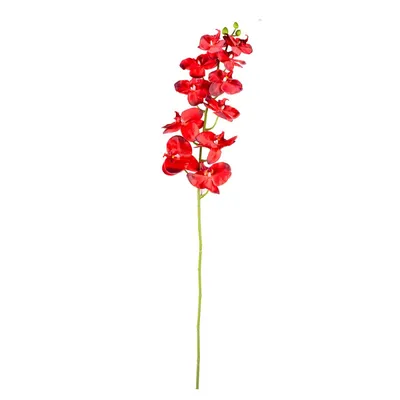 Красная орхидея в интернет-магазине Ярмарка Мастеров по цене 2300 ₽ –  Q4LAMBY | Композиции, Старый Оскол - доставка по России