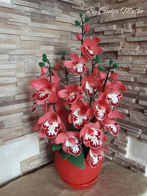 Красная Орхидея Стоковые Фотографии | FreeImages