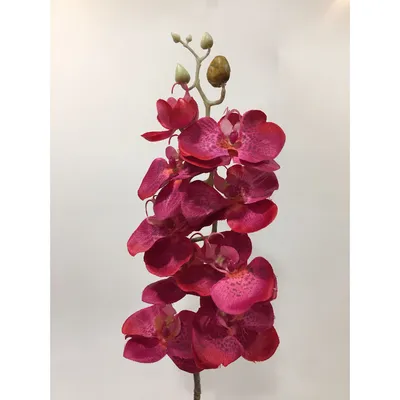 Светодиодный светильник - красная орхидея — цена 2500 грн в каталоге  Ночники ✓ Купить товары для дома и быта по доступной цене на Шафе | Украина  #32454242