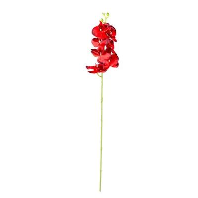 Постер \"Красная орхидея\"