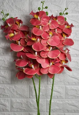 Красная яркая орхидея,с несколькими …» — создано в Шедевруме