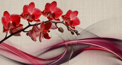 Орхидея красная гелевая пестрая 71 см (9-520) - купить по оптовым ценам