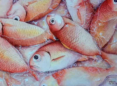 Красная рыба: самые популярные виды и особенности приготовления