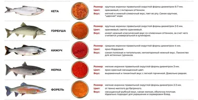 Красная икра – как выбрать?