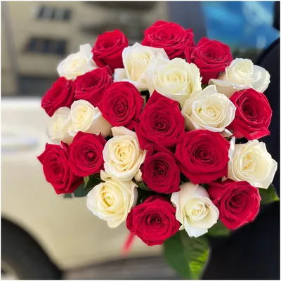 Микс-букет из красно-белых роз (101 шт) купить с доставкой в  интернет-магазине за 14133р. Позиция № 44